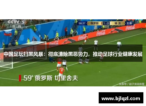 中国足坛扫黑风暴：彻底清除黑恶势力，推动足球行业健康发展